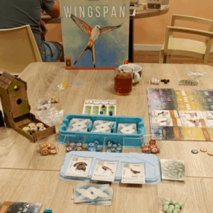 bordspel spellenvereniging mag ik met rood wingspan